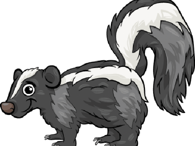 Skunk Clipart Transparent - Spotted Skunk Cartoon (640x480), Png Download