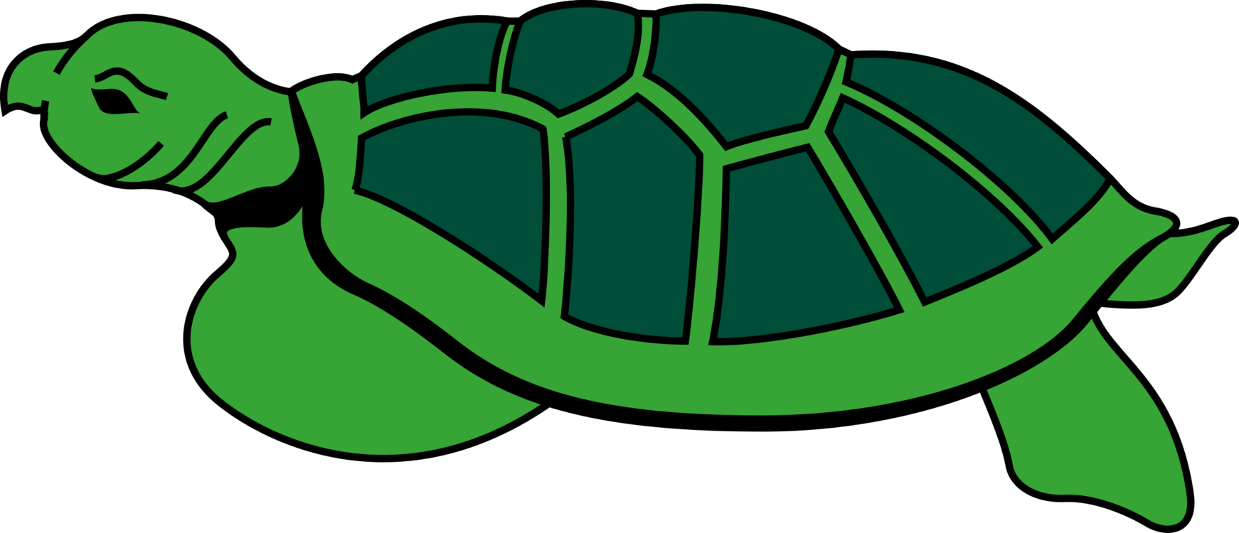 Animal Reptile Tortoise Turtle Tortoise To - Kura Kura Clipart (680x340), Png Download