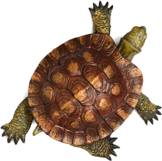 download mad tortoise turtles calendar 2015 16 month calendar png 16 month calendar 2015