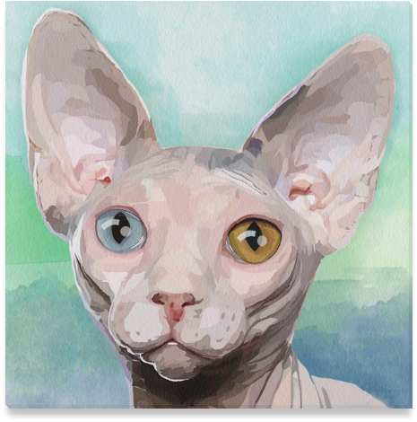 Watercolor Canvas Print 16"x16" - Sphynx Cat (800x800), Png Download