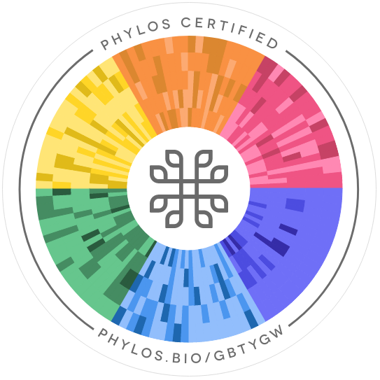 Skunk - Credit (543x543), Png Download