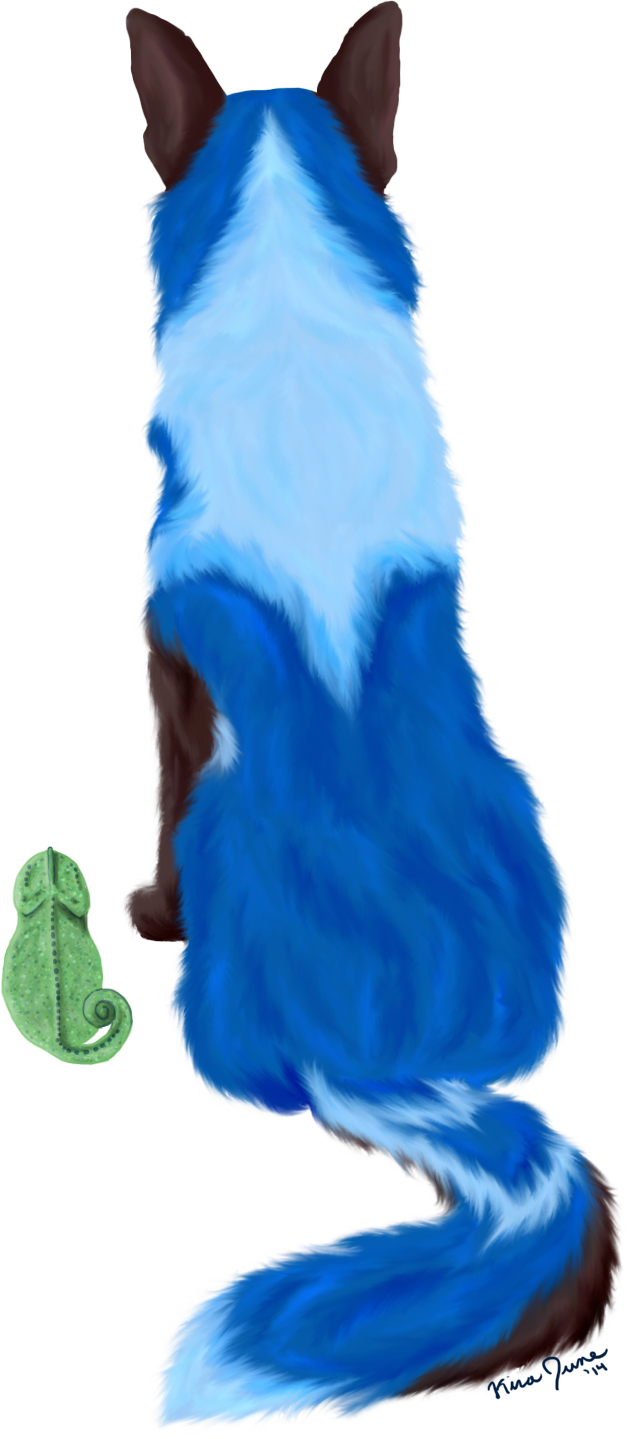 Picture - Squirrel (629x1439), Png Download