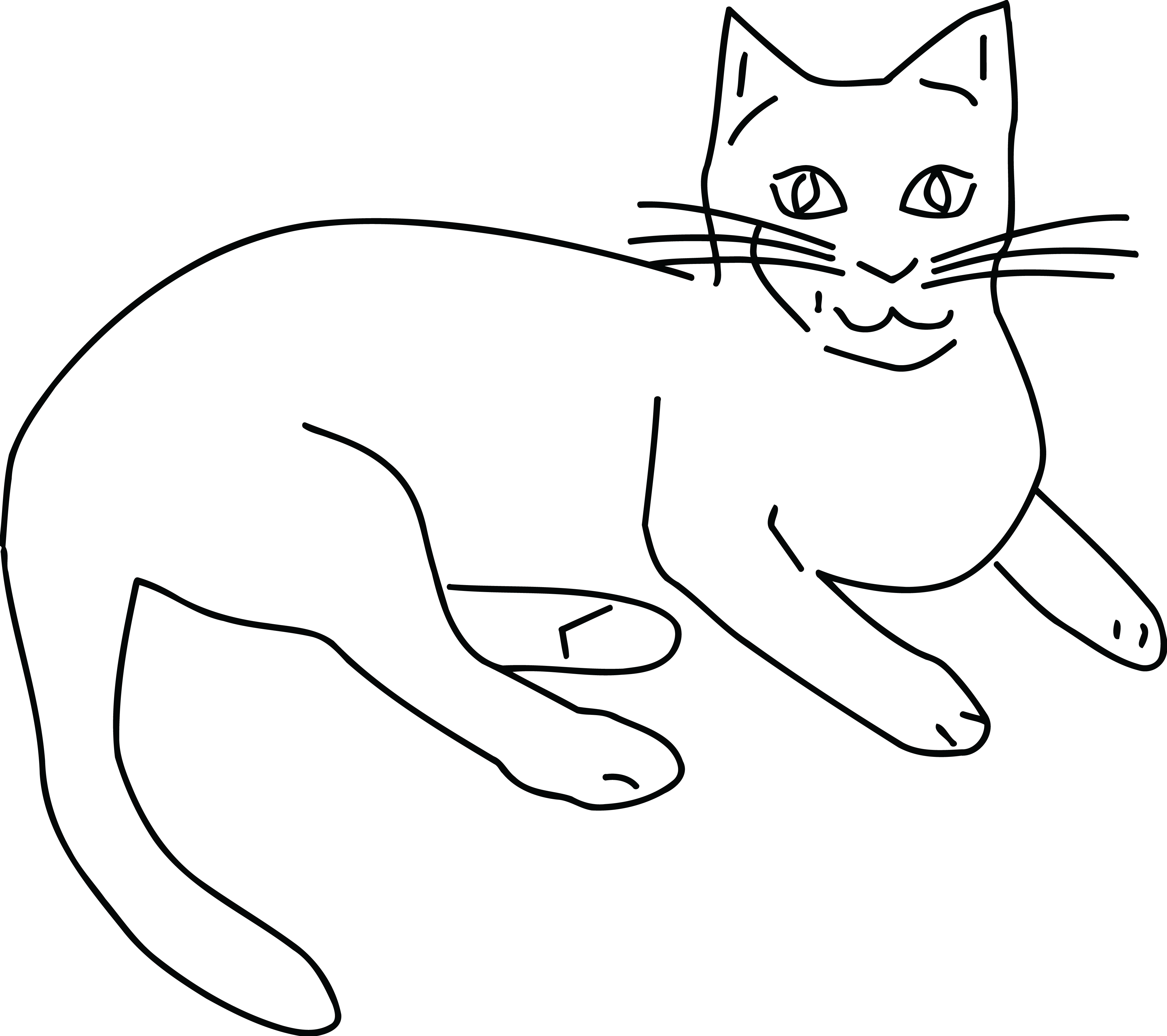 Download Free Clipart Of A Black And White Cat - White Cat Png Clip Art PNG  Image with No Background 