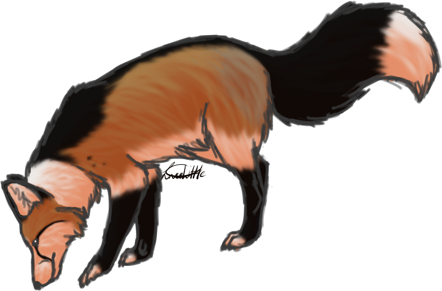 Tweelittle - Striped Skunk - Free Transparent PNG Download - PNGkey