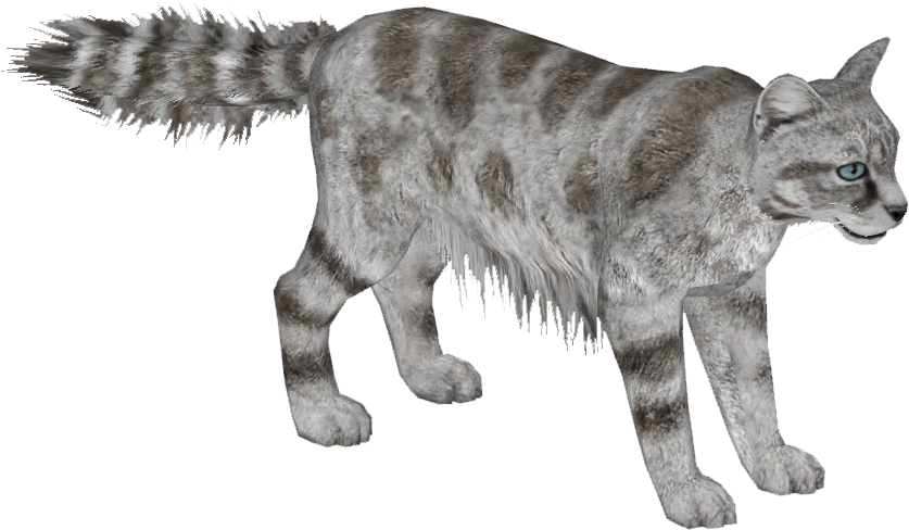 Andean Mountain Cat 4 - Wiki (836x836), Png Download