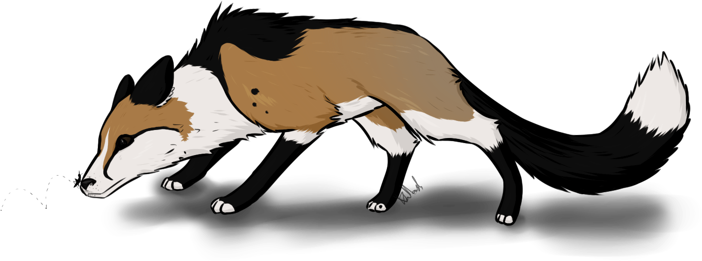 Kr1st1naa - Hog Nosed Skunk (1570x845), Png Download