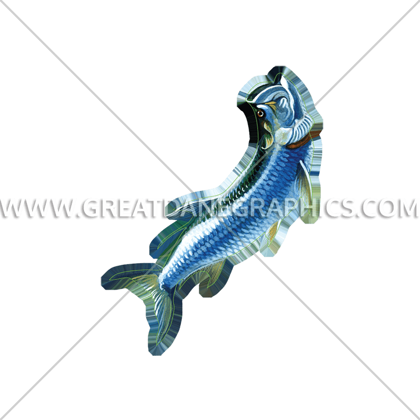 Production Ready Artwork For Png Black And White Download - Tarpon Vector (825x825), Png Download