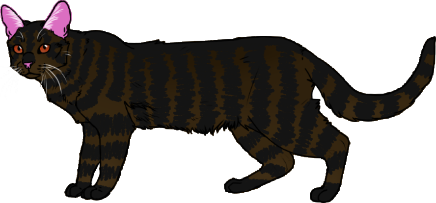 Stripes - Loner - Puma (888x414), Png Download