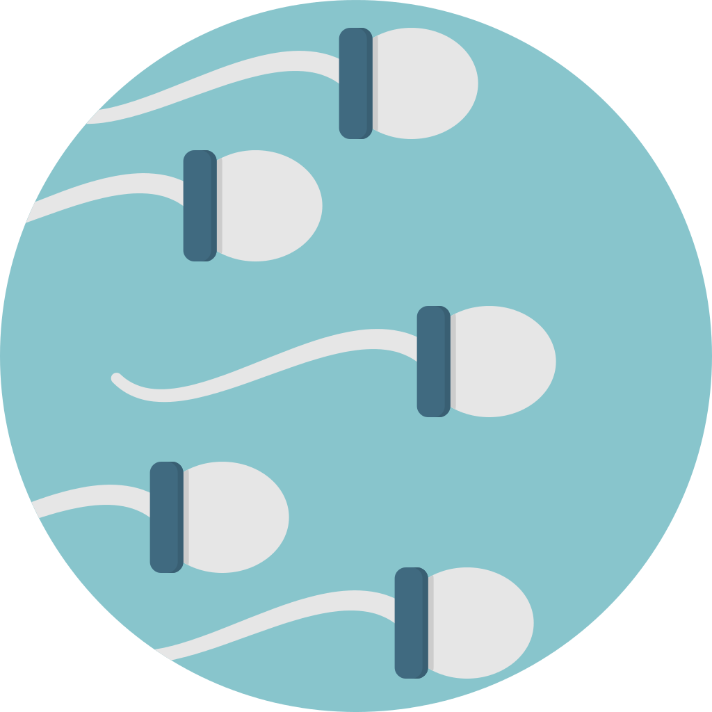 Creative Tail Sperm - Sperm Icon Png (1024x1024), Png Download