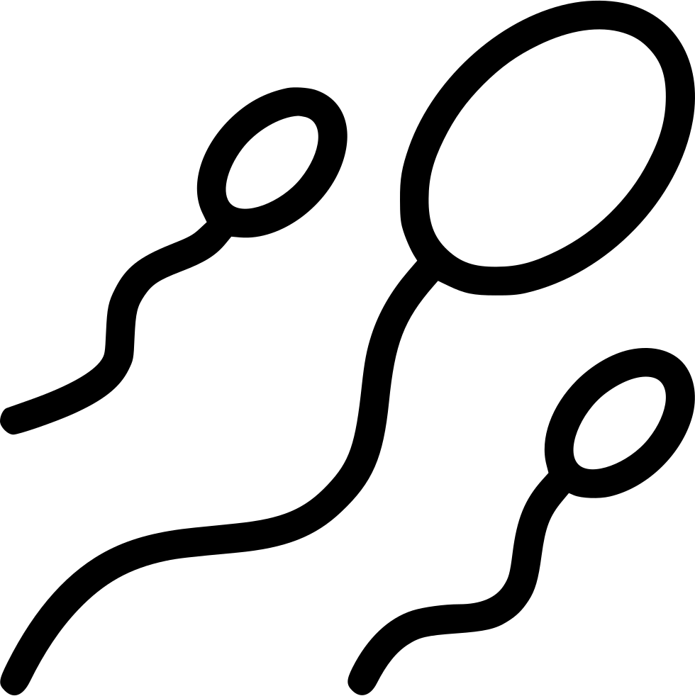 Png File - Spermatozoon (980x982), Png Download