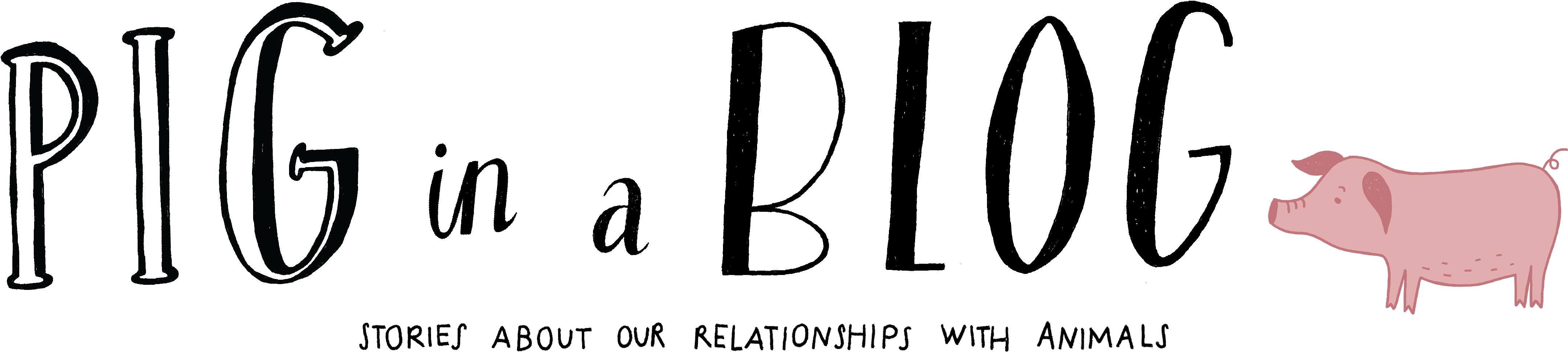 Pig In A Blog - Blog (4724x1181), Png Download