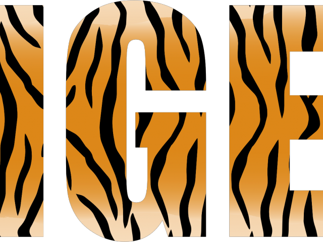 Tiger Stripes Clipart - Tiger Typography (640x480), Png Download