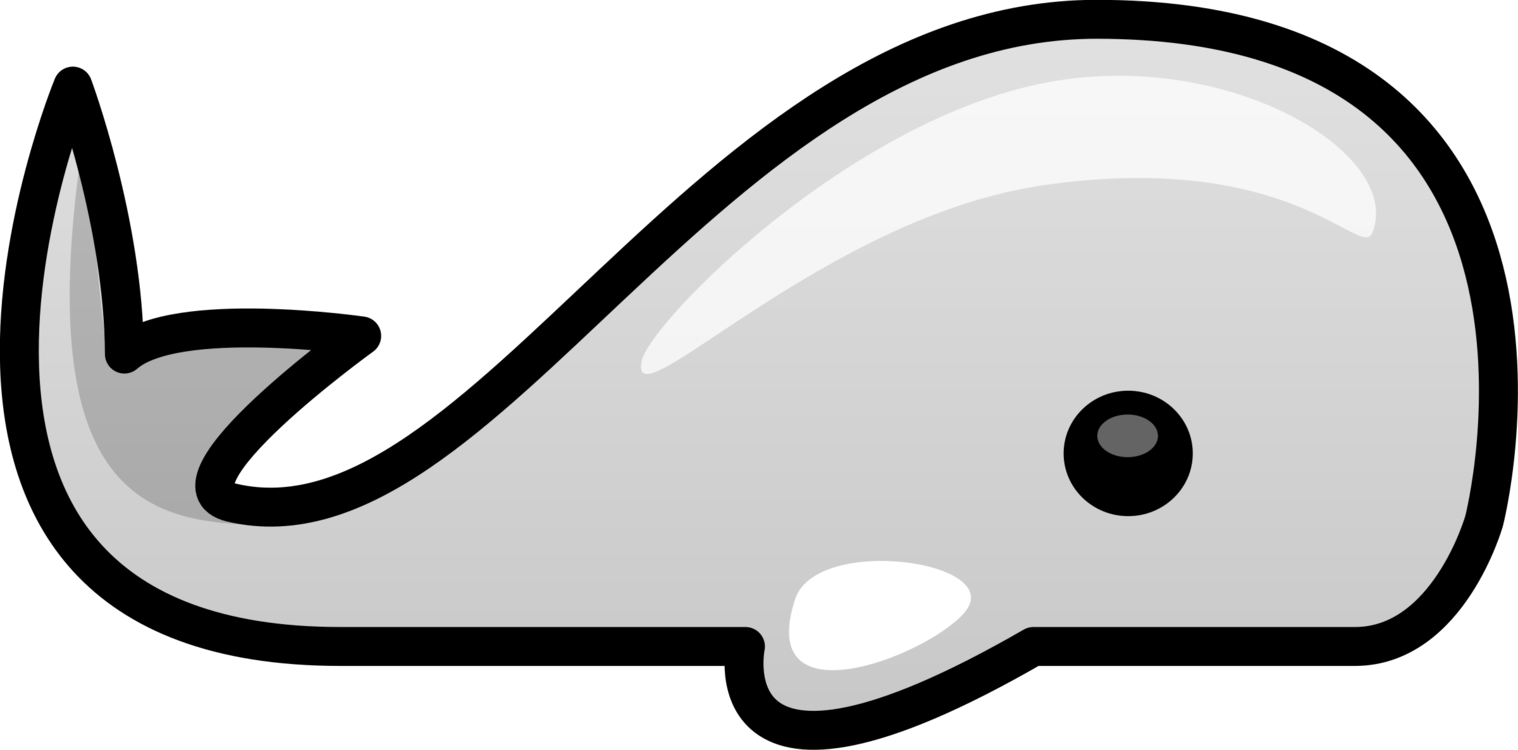 Sperm Whale Cetacea Drawing Whaling Humpback Whale - Whale Cartoon Side View (1518x750), Png Download