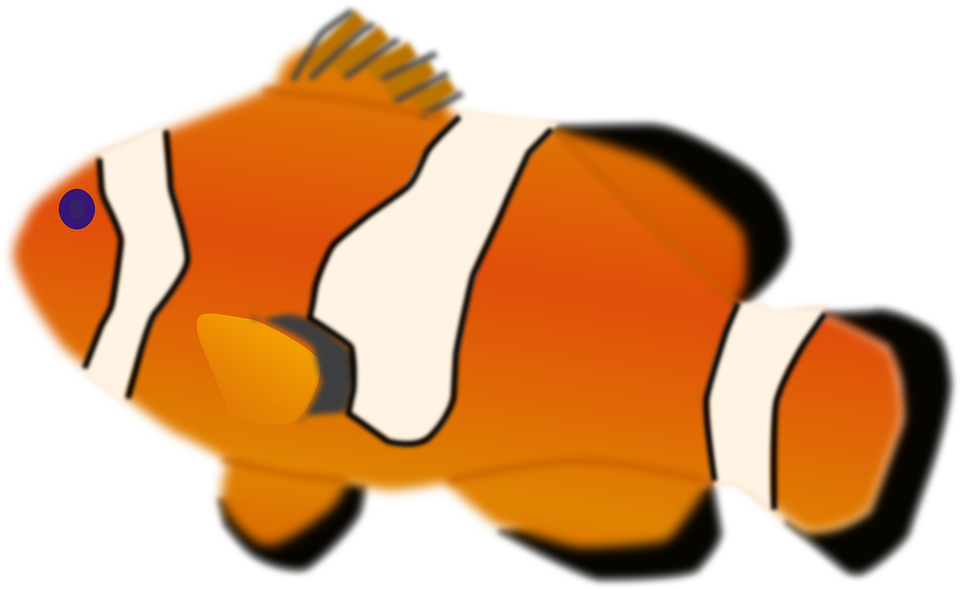 Illuminati Png Mlg - Custom Clown Fish Mugs (960x589), Png Download