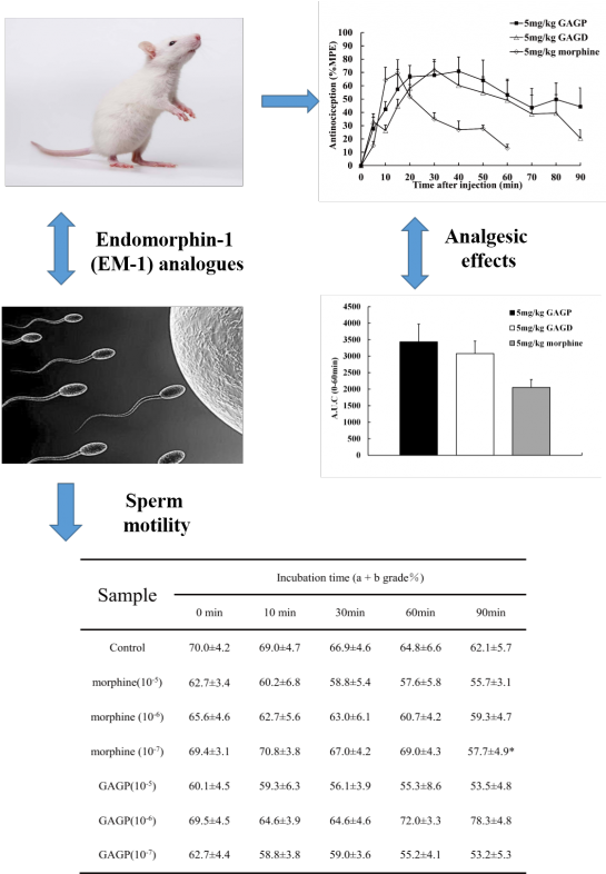 And Medicinal Chemistry Letters Reveals That Our Version - Diagram (545x800), Png Download