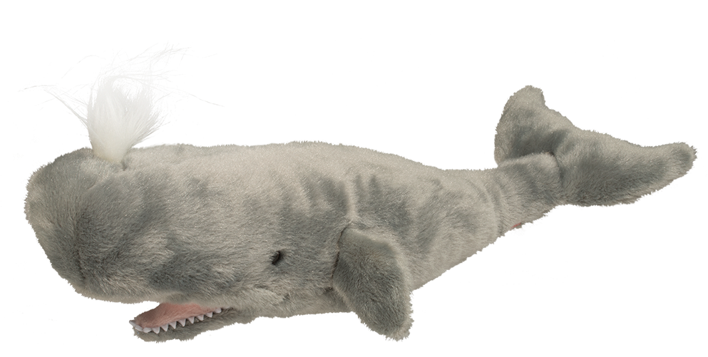 Douglas Splash Sperm Whale - Sperm Whale Plush Toy (1000x1000), Png Download