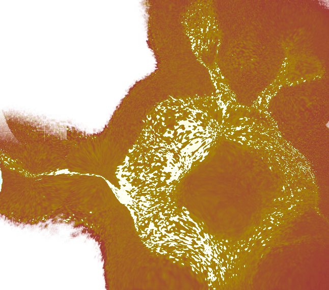 This Used To Be A Dabbing Emoji With Rabbit Ears - Rabbit (646x570), Png Download