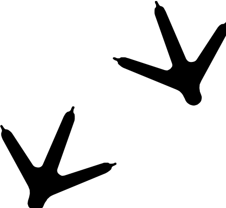 Turkey Tracks Clipart - Bird Track Clip Art (449x413), Png Download