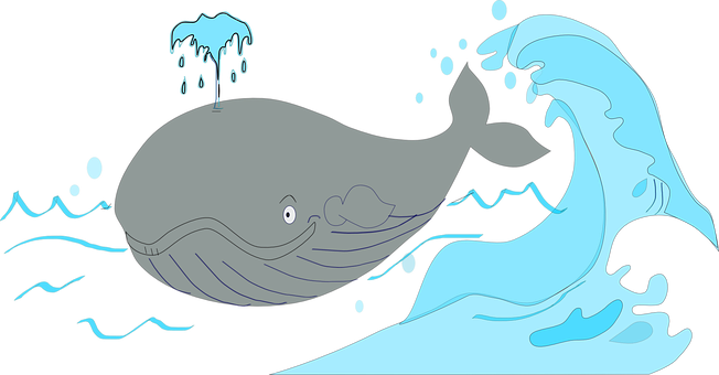 Whale Pot Whale Sperm Whale Cachalot Mamma - Ikan Paus Vektor Png (652x340), Png Download