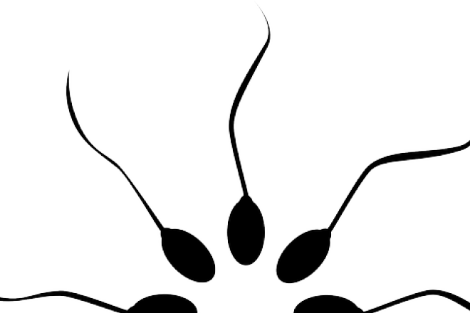 Sperm June 3, 2014off - Fertility (660x440), Png Download