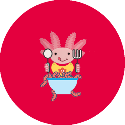 Axolotl Feeding - Axolotl (400x400), Png Download