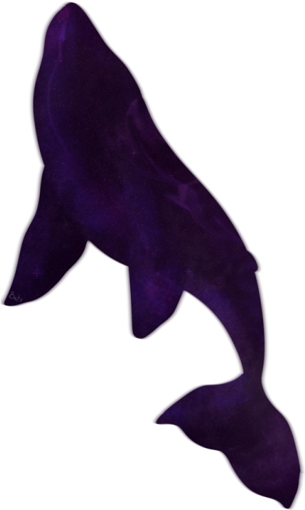 I'm On My Way - Whales (442x750), Png Download