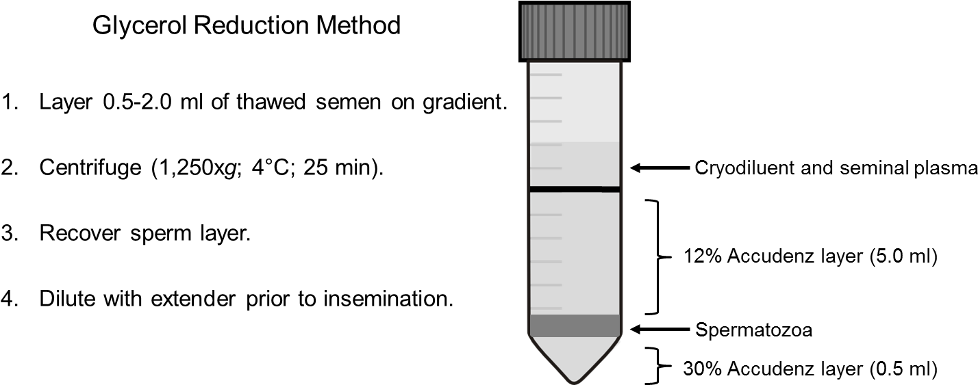 Protocols/rooster Protocol Figure - Communication Protocol (1498x584), Png Download