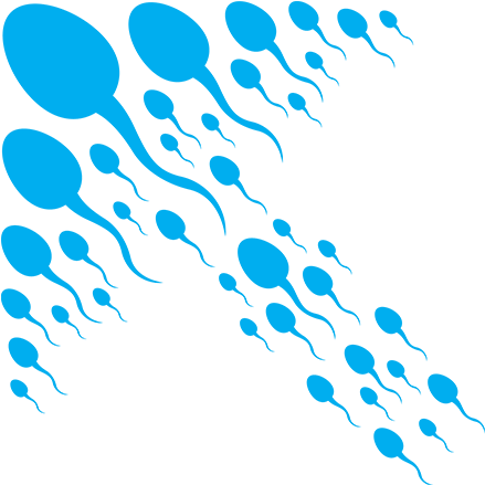 Could You Be A Sperm Donor - Sperm Donation (628x438), Png Download