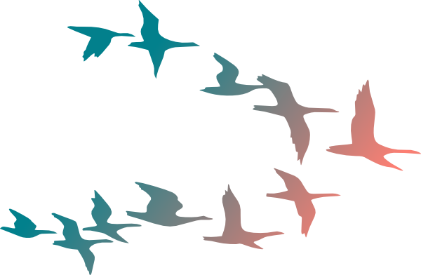 Png Transparent Download Bird Flying Clipart - Colorful Flying Birds Png (600x392), Png Download