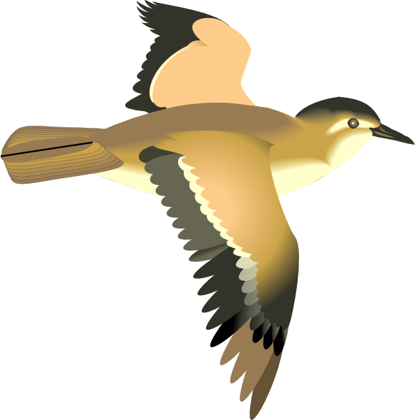 Flying Bird Clip Art At Clker - Transparent Clipart Flying Bird (594x601), Png Download
