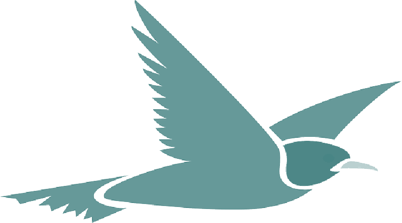 Download Mb Image/png - Flying Bird Cartoon Transparent Background PNG  Image with No Background 