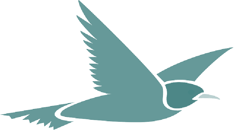 Download Mb Image/png - Flying Bird Cartoon Transparent Background PNG Image with No Background Download Mb Image/png - Flying Bird Cartoon Transparent Background PNG Image with No Background