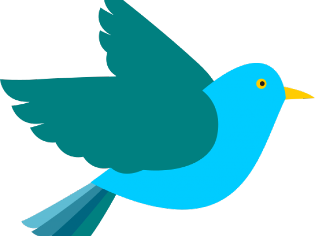 Flying Bird Graphic - Bird Clipart Transparent Background (640x480), Png Download