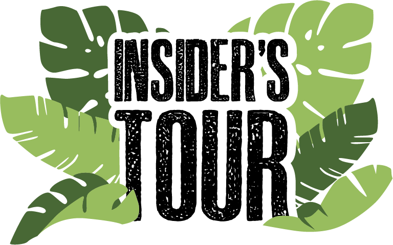 Insider's Guided Tour - Jesus Christ Superstar (768x479), Png Download