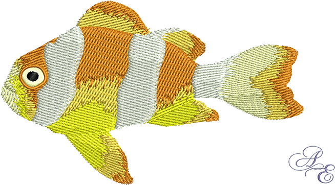 Clarky Clown Fish - Art (722x361), Png Download