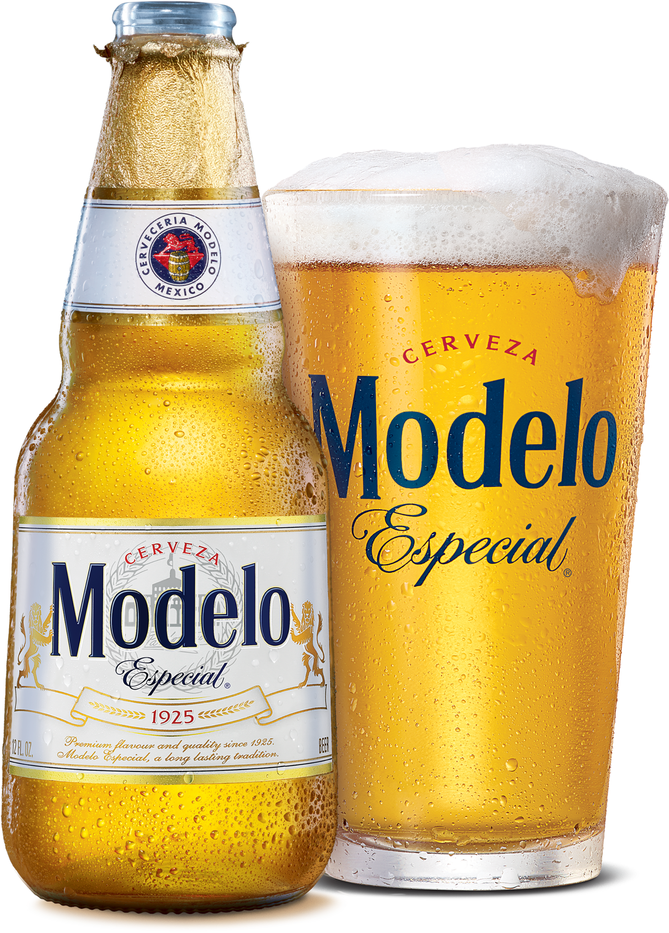 Modelo Especial - Modelo Especial Modelo (1480x2000), Png Download
