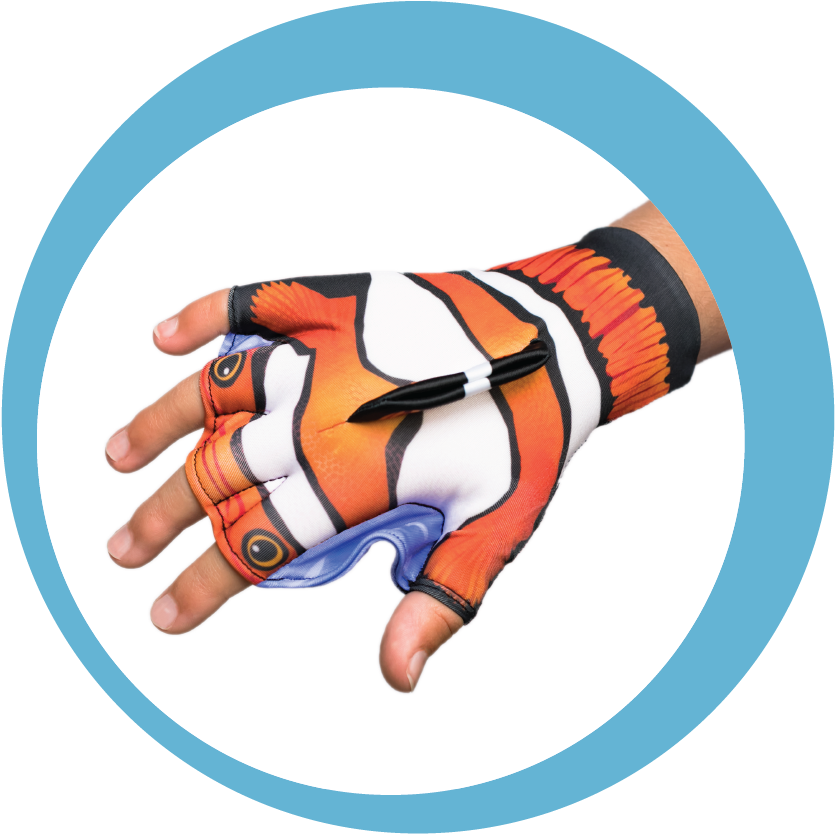 Load Image Into Gallery Viewer, Clown Fish - Illustration (1027x833), Png Download