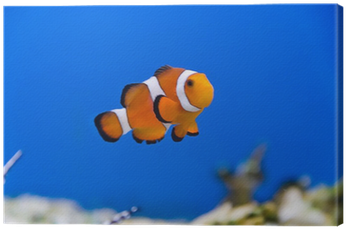 Poissons (400x400), Png Download