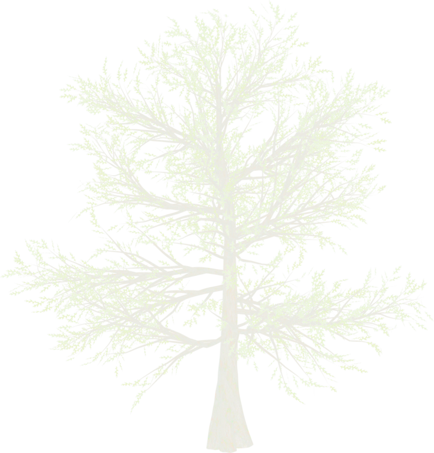 Snow White Pine Tree Png By Mysticmorning On Deviantart - Art Print: Justdd's Fantasy Landscape, 61x46cm. (876x913), Png Download