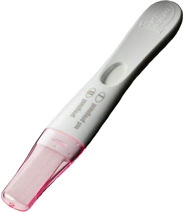 Pregnant Pregnancy Pregnancytest Test Baby Babies White - Pregnancy (590x682), Png Download