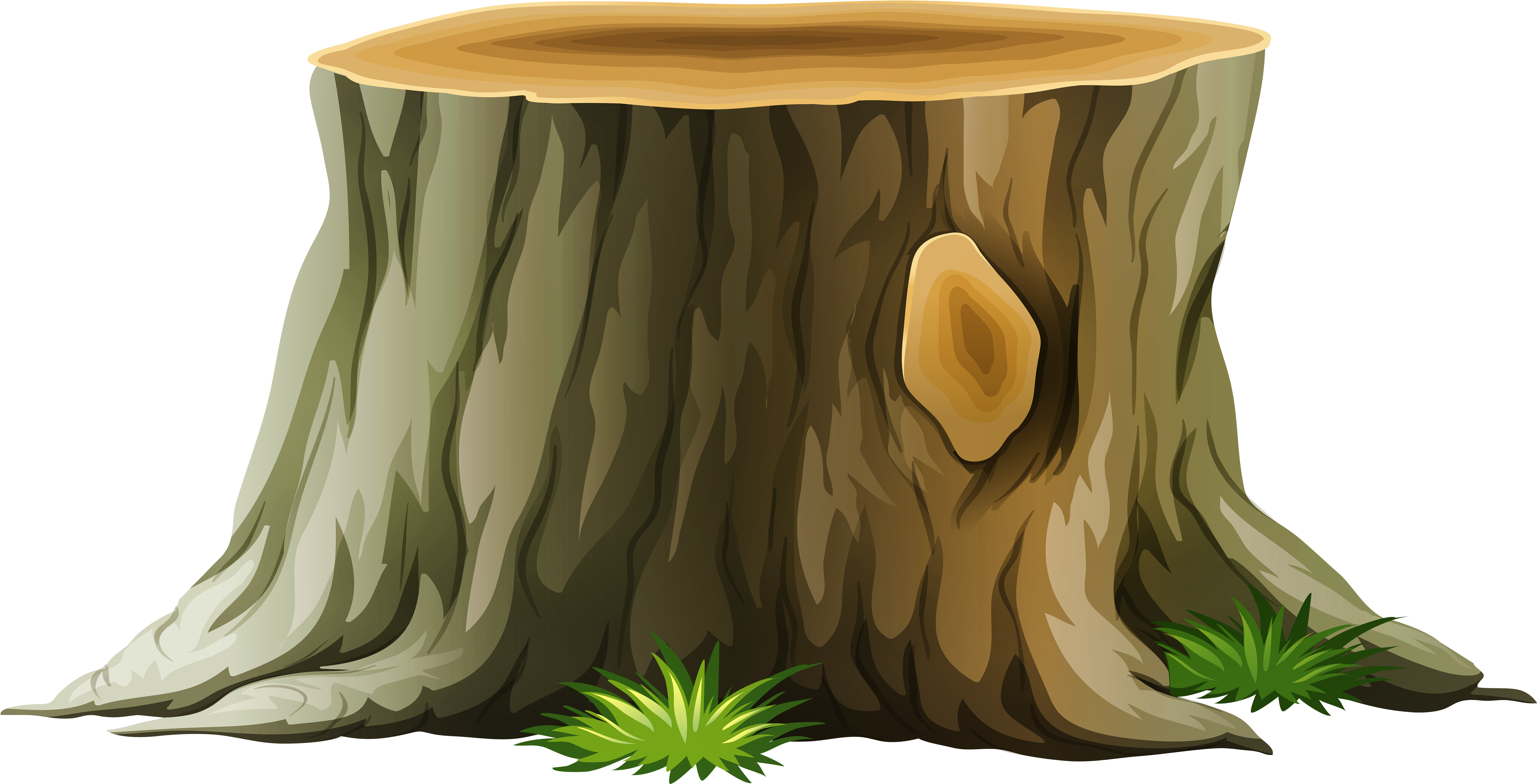 Big Trunk Of Tree Clip Art (6167x3684), Png Download