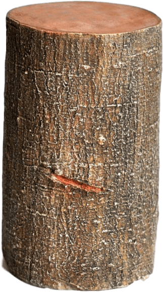 Decorative Tree Stump F - Top Collection Miniature Fairy Garden And Terrarium (800x800), Png Download