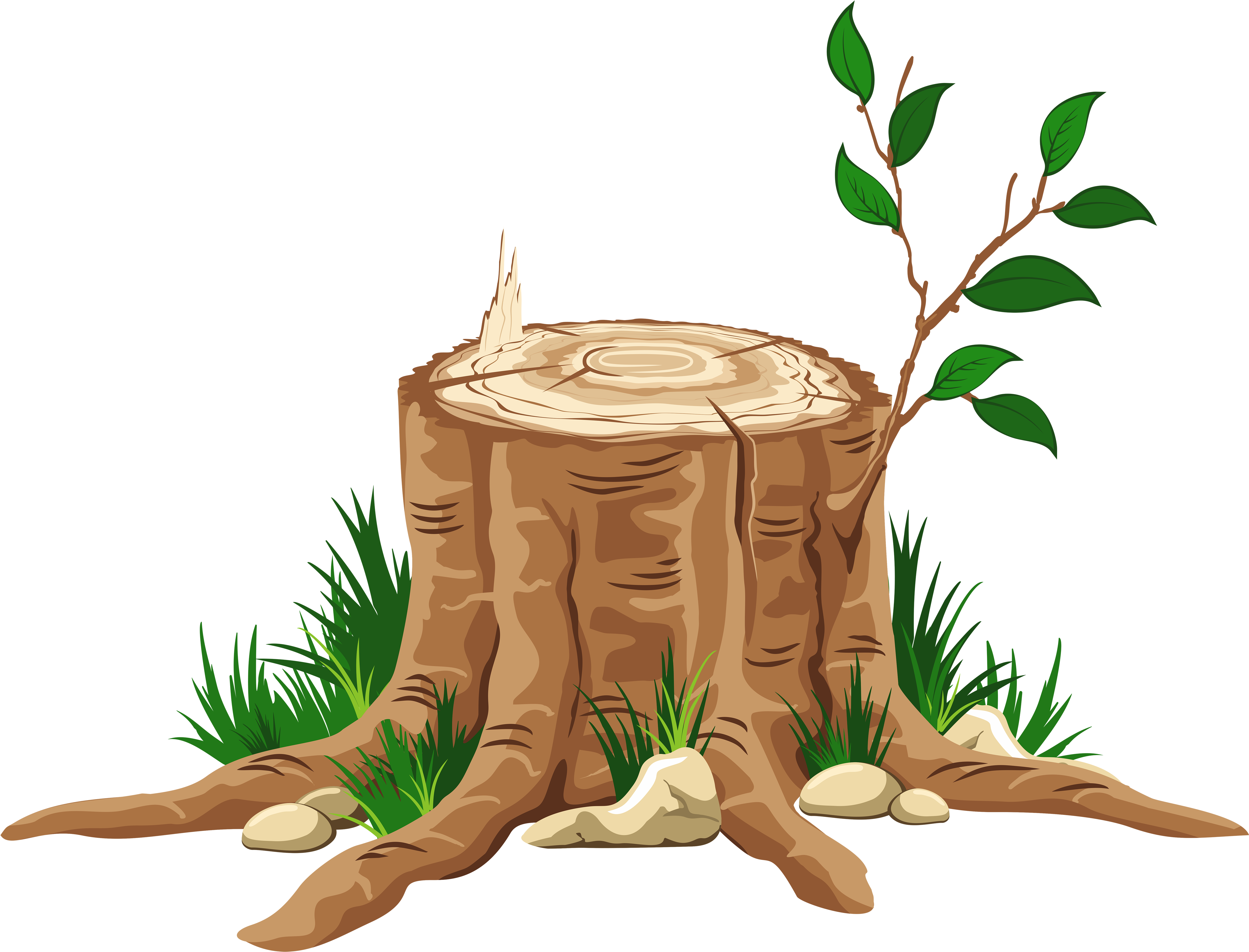 Jesse Tree (5000x3879), Png Download
