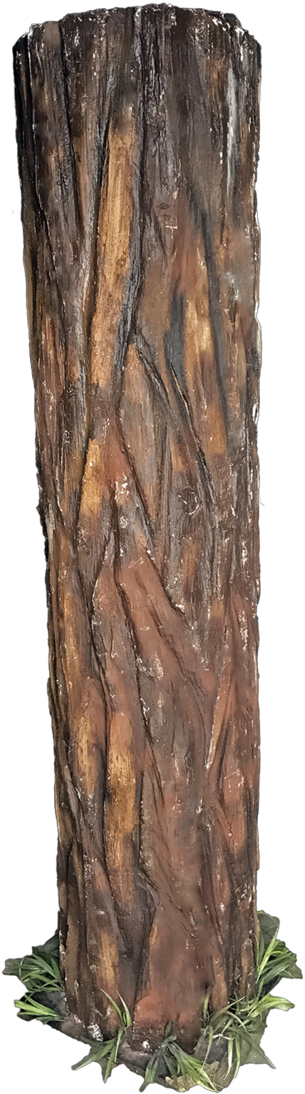 Tree Trunk (1200x1600), Png Download