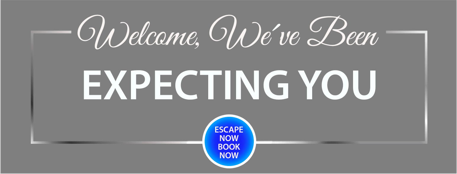 Wedding Bells - Complete Wedding Planner (1543x587), Png Download