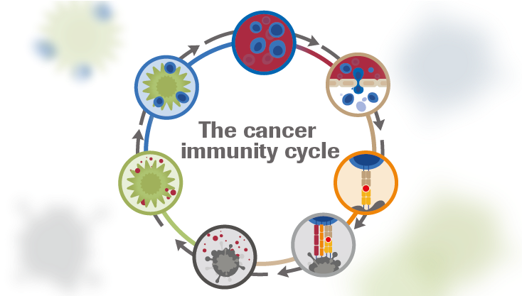 The Cancer Immunity Cycle Developed By Dan Chen And - Cancer Immunity Cycle (740x416), Png Download