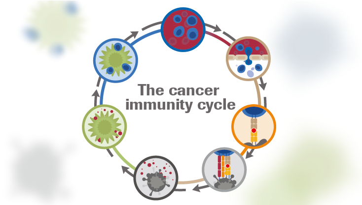 Download The Cancer Immunity Cycle Developed By Dan Chen And - Cancer ...
