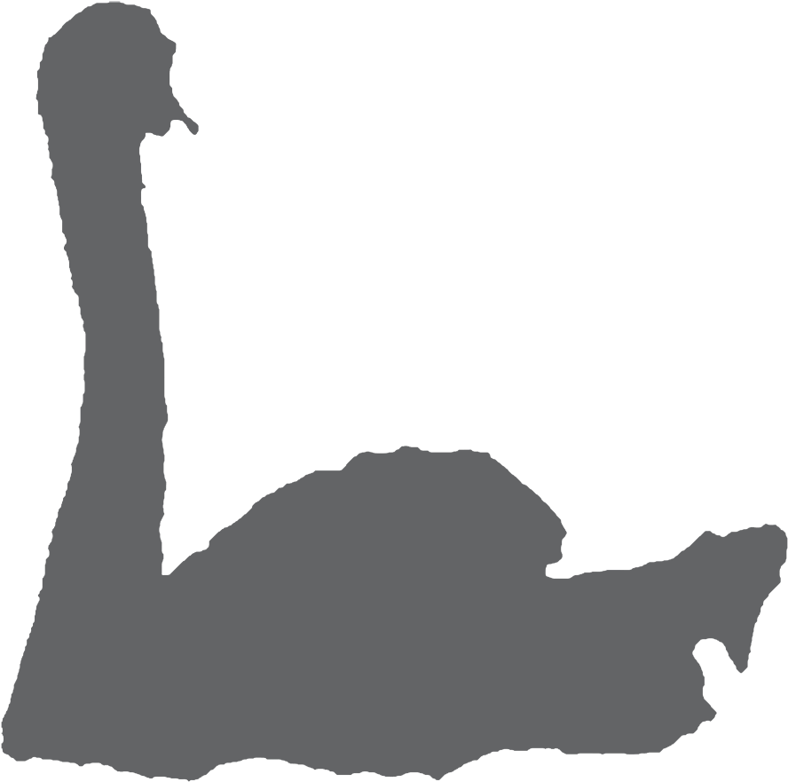 Swan In Water - Silhouette (1000x906), Png Download