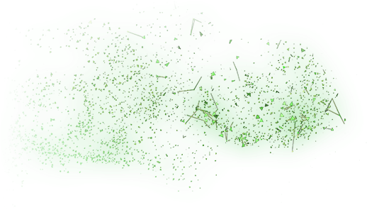 242 - Chlorophyta (1070x340), Png Download