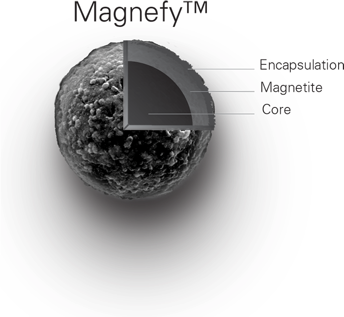 Bangs Laboratories, Inc. (700x670), Png Download